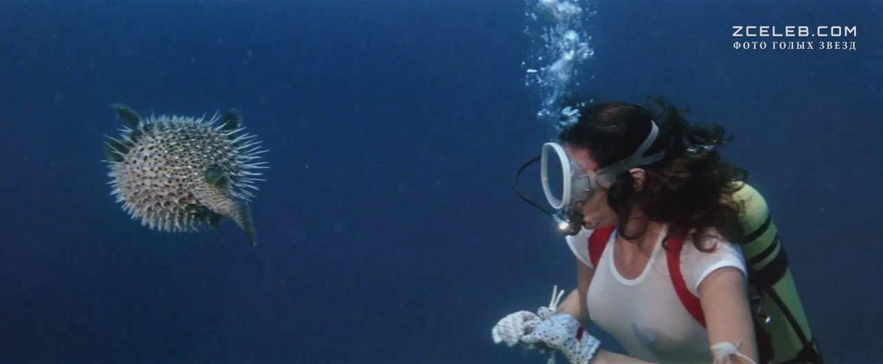 Жаклин Биссет