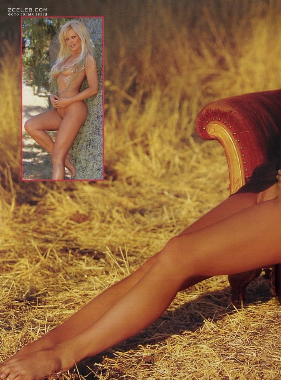 Жесір әйелді сорады