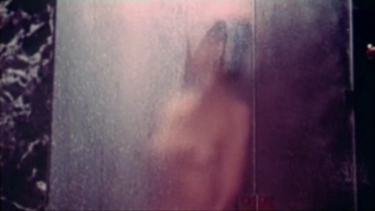 image 0 image 0