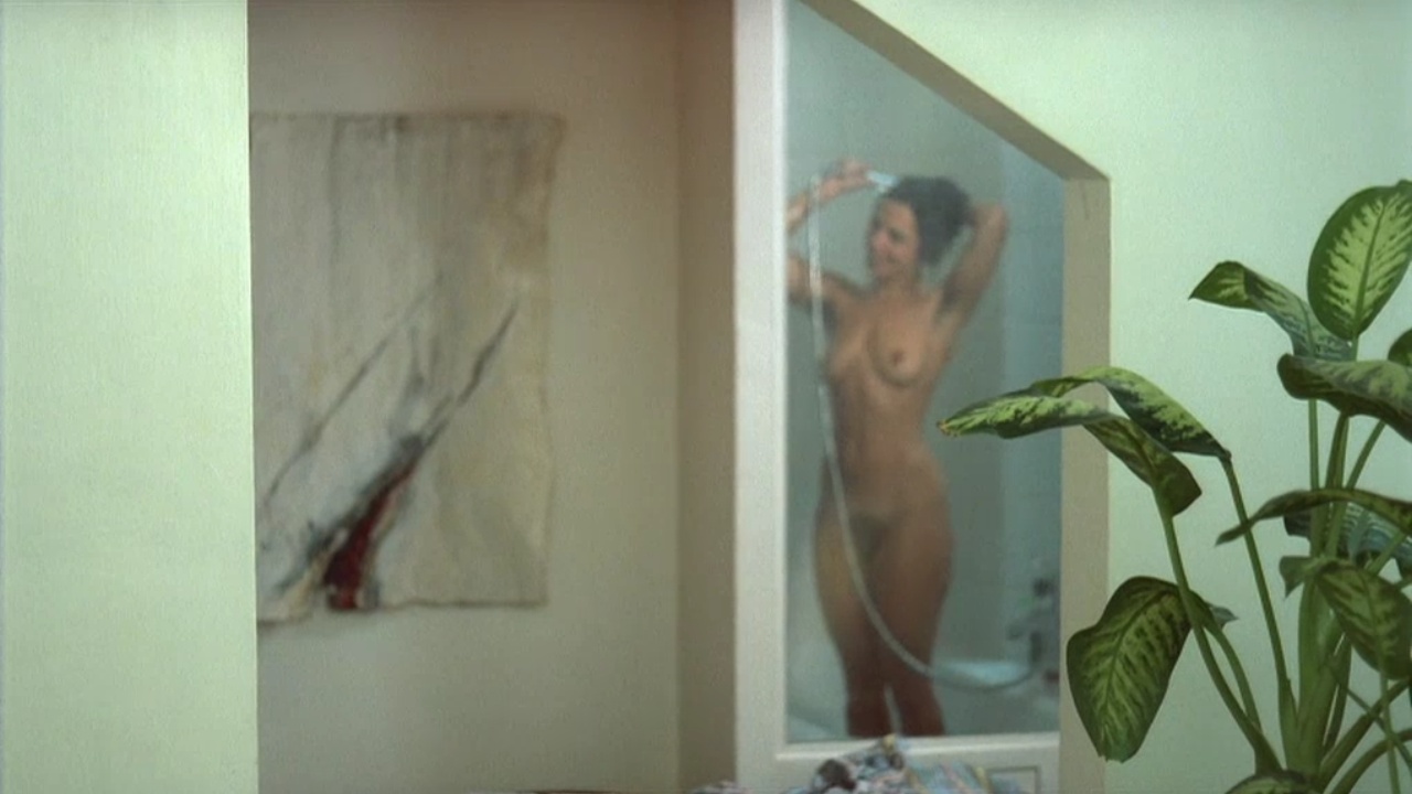 image 0 image 0