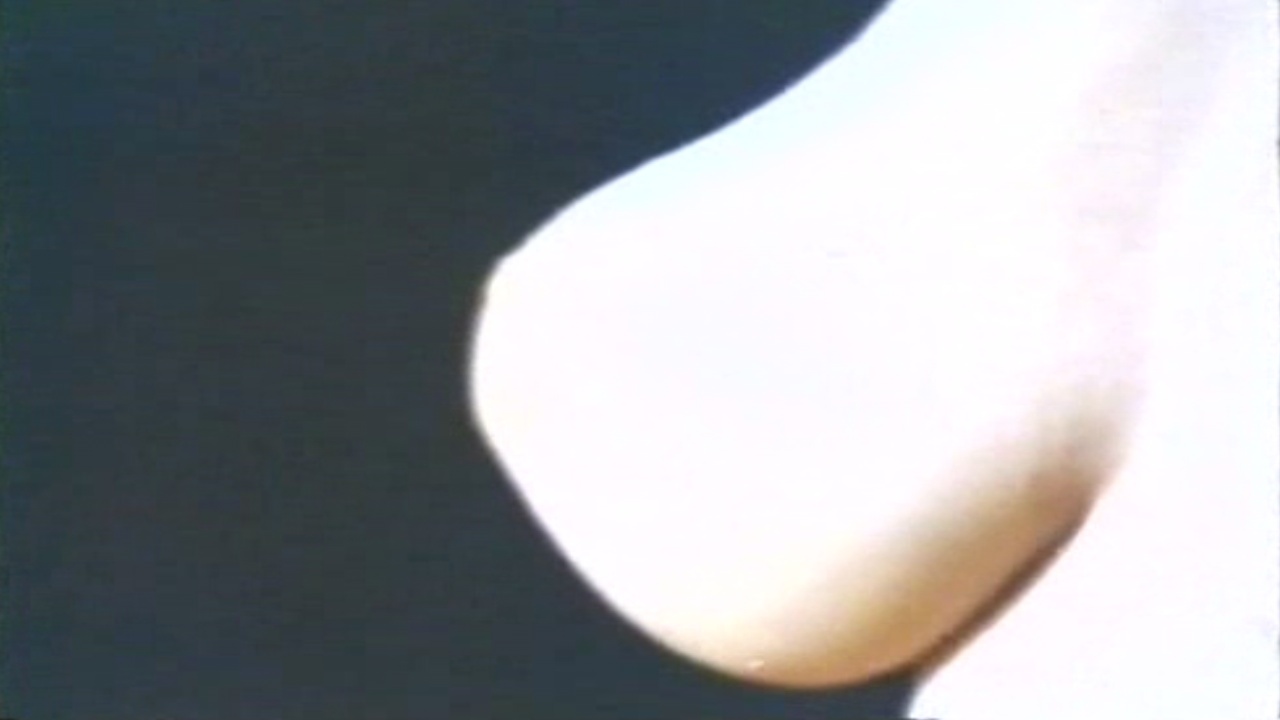 image 0 image 0