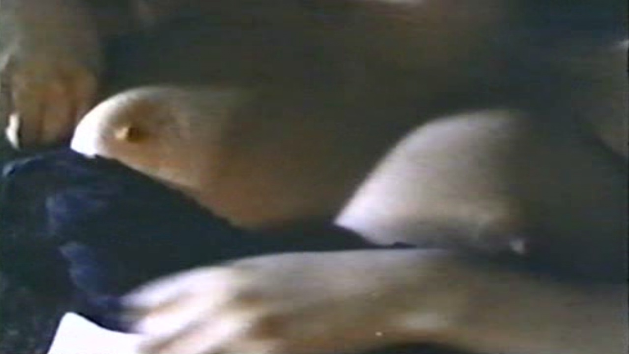image 0 image 0
